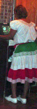 Mexican Flag Skirt